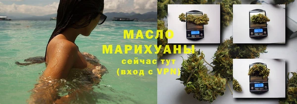 сатива Няндома