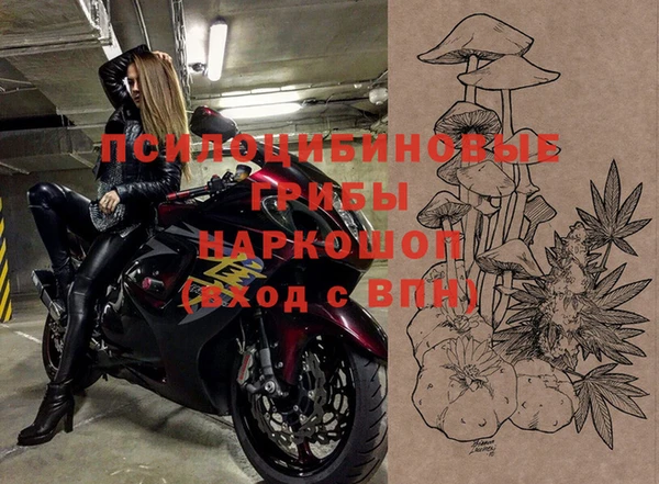 ПСИЛОЦИБИНОВЫЕ ГРИБЫ Болхов