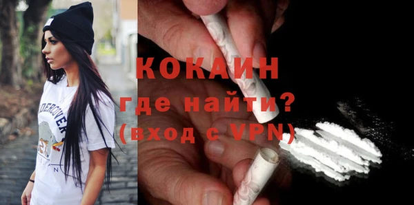 сатива Няндома