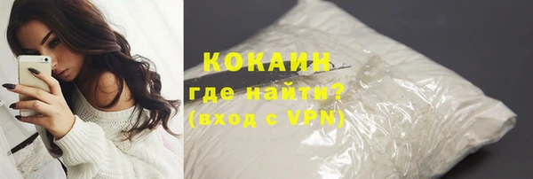 сатива Няндома