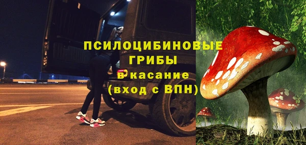 соль курить ск Нязепетровск