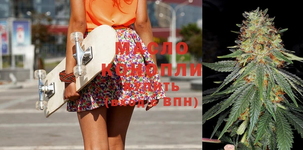 сатива Няндома