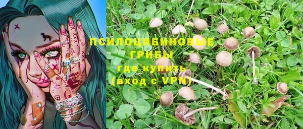 Альфа ПВП Остров