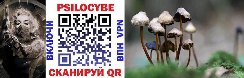 Псилоцибиновые грибы Magic Shrooms  Новомичуринск 